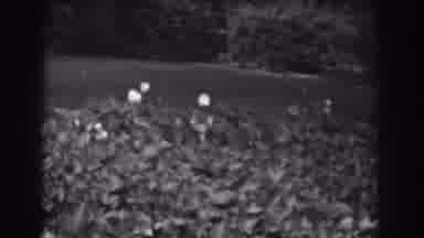 Vineland New Jersey (1938): A Black And White Film Of A Beautiful Landscape Scene