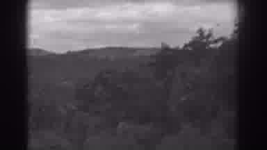 Vineland New Jersey (1938): Landscape With A Lot Of Trees Mountains On The Back