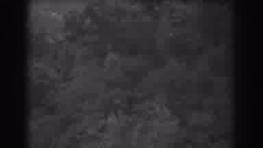 Vineland New Jersey (1938): Flying In A Plane Or A Bird Above Tree Tops In The