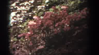West Virginia (1938): The Public Garden Park In The City