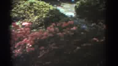 West Virginia (1938): Beautiful Flowers On A Public Garden Park