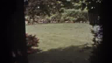 West Virginia (1938): Freshly Cut Grass In The Private Backyard With A Slight Wind