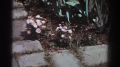 West Virginia (1938): Filming Of Newly Planted Flowers In A Garden Next To Stone