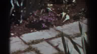 West Virginia (1938): Her Garden Before She Leaves Her Home