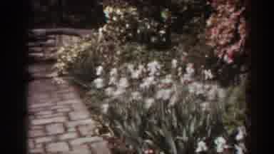 West Virginia (1938): Garden Area With Brick Pathway Through Flowering Plants