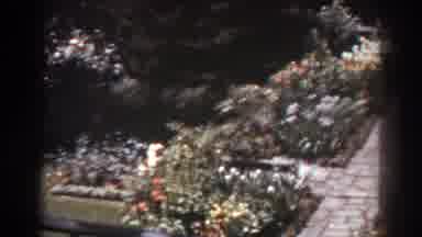 West Virginia (1938): A Beautiful Garden With Several Types Of Flowers And