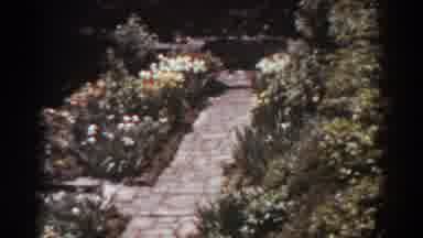 West Virginia (1938): Vintage Footage Of A Flower and Vegetables Garden In A
