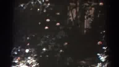West Virginia (1938): Enjoying All The Beauty The Smell And All The Adornment Of A