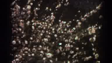 West Virginia (1938): Cotton Fields Swaying In The Wind Ready For Harvest Black