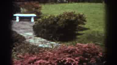 West Virginia (1938): Park Bench Bushes Trees Branches