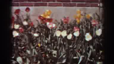 West Virginia (1938): A Garden Full Of Colorful Flowers