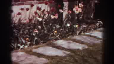 West Virginia (1938): Spring Flowering Bulbs Along Garden Path On Cloudy Day