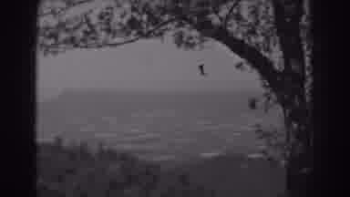 West Virginia (1938): One Tree In A Big Industrialized City