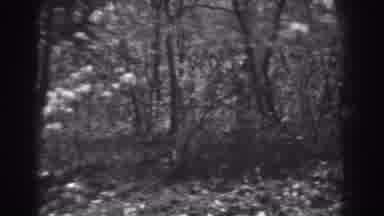 West Virginia (1938): View Of Steep Tree Covered Hill On A Clear Windy Day