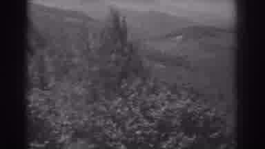West Virginia (1938): View Of Trees And Hills On A Sunny Windy Day