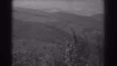West Virginia (1938): Very Large And Beautiful Field Images