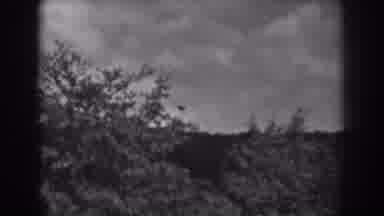 Winchester Maryland (1938): Storm Brewing Over The Woods
