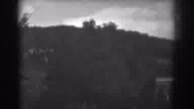Winchester Maryland (1938): A Mountain-view Scene Overlooking The Trees