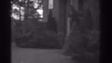 Winchester Maryland (1938): A Vintage Building With Evergreens Lining It