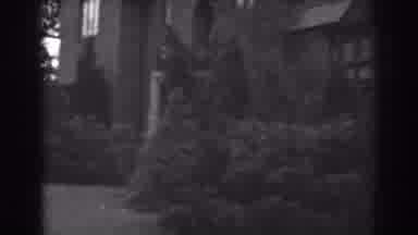 Winchester Maryland (1938): Lot Of Trees With Different Sizes Surrounding A