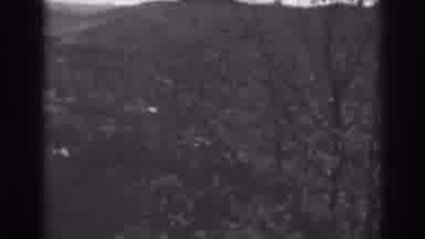 Winchester Maryland (1938): Hillside Autumn Trees Blowing In The Strong Wind On A