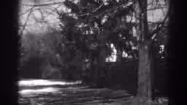 Winchester Maryland (1938): View Of Tree Lined Road On A Clear Sunny Day