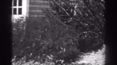 Winchester Maryland (1938): Shrubs Leaning Against The Side Of The House Wall And