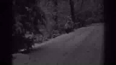 Winchester Maryland (1938): Snow Covered Rural Road In Winter Forest