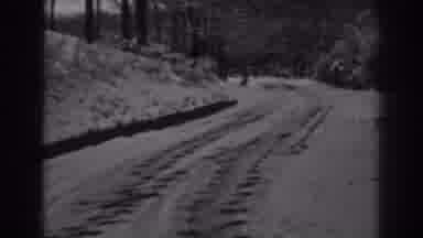 Winchester Maryland (1938): Snowy Trail With View Of Snow On Foliage Presented In
