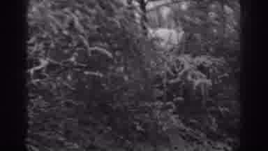 Winchester Maryland (1938): Snowy Front Yard With Big Brick House And Iron Gate