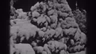 Winchester Maryland (1938): Pan Right To Left Of Thick Snow Covering Bushes Or