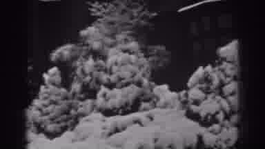 Winchester Maryland (1938): Snow Covered Trees Adjacent To A House In Black And