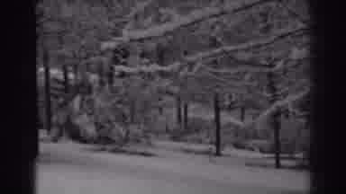 Winchester Maryland (1938): The Forest After The Blizzard