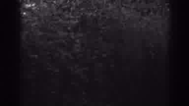 Winchester Maryland (1938): Dark Film Grayscale Hedge Panning Right Near Path By