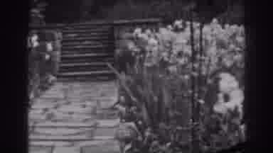 Winchester Maryland (1938): Old Camera Footage Of A Walkway With A Large Bush