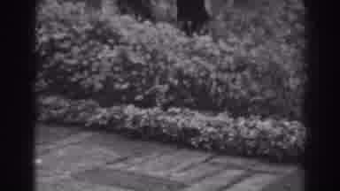 Winchester Maryland (1938): Poor Quality Video Of Bushes And Small Trees And A