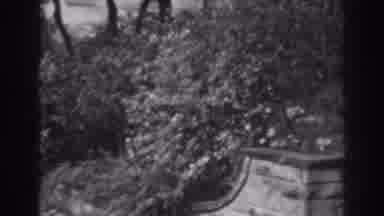 Winchester Maryland (1938): Calling View Of A Black And White Garden In A