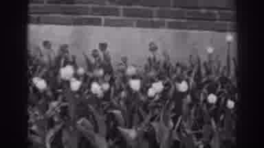 Winchester Maryland (1938): Flowers In A Garden Up Against A Brick Wall