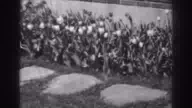 Winchester Maryland (1938): My Garden Beauty Is Darkened By Fear Of Life