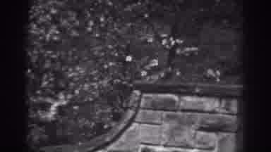 Winchester Maryland (1938): View Of Trees And Stone Steps On A Clear Day