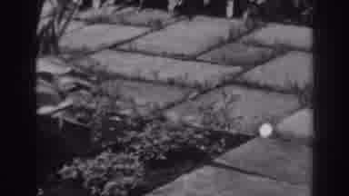 Winchester Maryland (1938): Black And White Up Close Grounds Of A Garden With