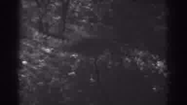 Winchester Maryland (1938): Outside Wind Trees Blowing And Lightning