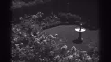 Winchester Maryland (1938): Park With Fountain For Birds