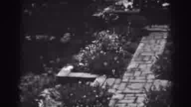 Winchester Maryland (1938): View Of Cobblestone Path In Garden On A Sunny Day