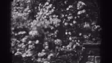Winchester Maryland (1938): Within Loneliness And Awaiting The Color Out Of The