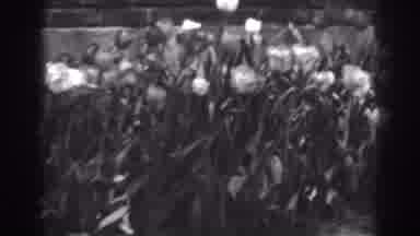 Winchester Maryland (1938): Flowers Swaying In The Wind