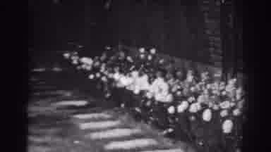 Winchester Maryland (1938): Flowers At The House Side Yard