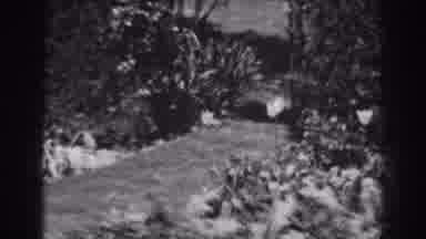 Winchester Maryland (1938): Wide View Of Curved Grassy Path Surrounded By Flowers