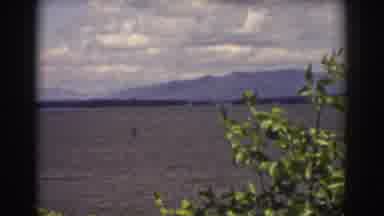 Mount Washington New Hampshire (1939): View Of Murky Lake And Green Tree On A
