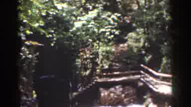 Mount Washington New Hampshire (1939): Watching A Beautiful Waterfalls And A